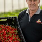 O calor está forte para Fitzgeralds, que estão abrindo caminho na produção de pimenta