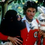 Michael Jackson ganhou Bubbles na década de 1980 e o apresentou em videoclipes