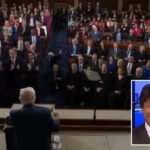 O deputado democrata Shri Thanedar foi criticado por permanecer sentado durante o discurso de Trump em homenagem às famílias das vítimas