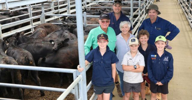 O investimento genético compensa, com resultados impressionantes na venda especial de desmamados
