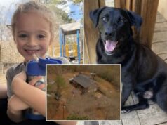 O menino da Flórida, Johnathan Boley, foi encontrado morto depois de desaparecer com seu cachorro no Alabama na véspera de Ano Novo O menino da Flórida, Johnathan Boley, foi encontrado morto depois de desaparecer com seu cachorro no Alabama na véspera de Ano Novo