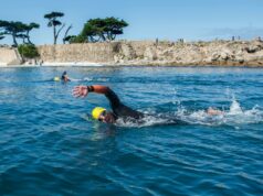 O nadador que desapareceu em Lovers Point usava um dissuasor de tubarões. O que a ciência diz sobre o que eles fazem – e o que não fazem Erica Fox, cofundadora do grupo de natação em águas abertas the...