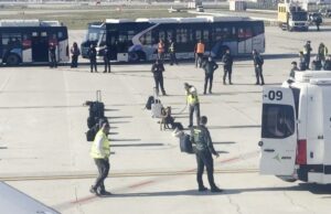 O nome do Wi-Fi do passageiro provoca medo de bomba e força pouso de emergência da Turkish Airlines O nome do Wi-Fi do passageiro provoca medo de bomba e força pouso de emergência da Turkish Airlines