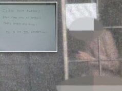 O pervertido de Los Angeles supostamente persegue a vovó – depois afirma que ela é ‘assustadora e rude’ por ameaçar chamar a polícia Uma imagem borrada de um homem visto através de uma tela de janela.