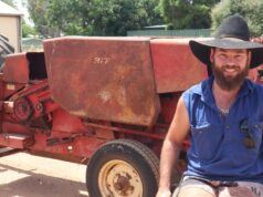 O produtor de grãos de pequenos hectares obteve um rendimento decente – e um prêmio surpreendente O produtor de grãos de pequenos hectares obteve um rendimento decente - e um prêmio surpreendente