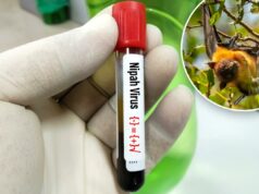 O que é o vírus Nipah? Doença com ‘taxa de mortalidade relativamente alta’ encontrada na Índia Mão enluvada segurando um tubo de amostra de sangue rotulado