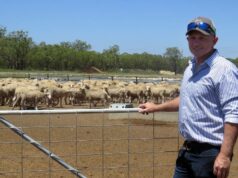 O que fazer e o que não fazer: lições de um alimentador de cordeiro expandindo para 20.000 cabeças O que fazer e o que não fazer: lições de um alimentador de cordeiro expandindo para 20.000 cabeças