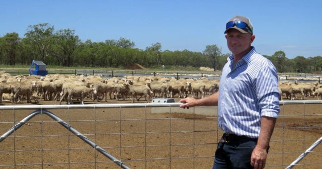 O que fazer e o que não fazer: lições de O que fazer e o que não fazer: lições de um alimentador de cordeiro expandindo para 20.000 cabeças