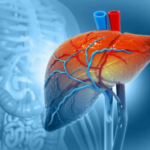 O que realmente acontece com o seu fígado durante o “Janeiro Seco”?