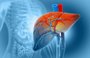 O que realmente acontece com o seu fígado durante o “Janeiro Seco”? O que realmente acontece com o seu fígado durante o “Janeiro Seco”?