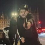 Krimoe postou um vídeo online dele e de um grupo brandindo uma arma falsa na frente do Parlamento