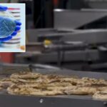 O susto da Listeria desencadeia um recall massivo de quase 7 toneladas de frango pronto para consumo em vários estados