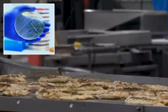 O susto da Listeria desencadeia um recall massivo de quase 7 toneladas de frango pronto para consumo em vários estados

