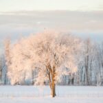 Ícone de conversão de texto em fala