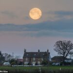 Em North Yorkshire, uma bela foto da superlua mostrou-a surgindo sobre uma casa de fazenda na vila de Stokesley