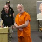Os advogados de Timothy Busfield dizem que uma investigação mina as acusações estaduais de abuso sexual infantil
