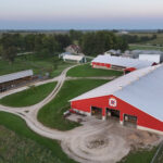 O algodão é cultivado em uma fazenda na paróquia de Richland, no norte da Louisiana. James Davis cultiva algodão, soja e milho na região. Tal como muitos agricultores, ele está a assistir a um aumento nos custos do seu seguro de saúde. (Drew Hawkins/Redação dos Estados do Golfo)