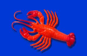 O criador do OpenClaw, Peter Steinberger, junta-se à OpenAI Rubber lobster toy