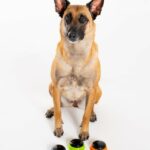 Ícone de conversão de texto em fala