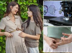 Os cientistas descobriram como ‘rejuvenescer’ os óvulos para a fertilização in vitro – o que isso significa para mulheres com mais de 40 anos Os cientistas descobriram como ‘rejuvenescer’ os óvulos para a fertilização in vitro – o que isso significa para mulheres com mais de 40 anos