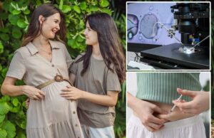 Os cientistas descobriram como ‘rejuvenescer’ os óvulos para a fertilização in vitro – o que isso significa para mulheres com mais de 40 anos Os cientistas descobriram como ‘rejuvenescer’ os óvulos para a fertilização in vitro – o que isso significa para mulheres com mais de 40 anos