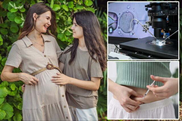 Os cientistas descobriram como ‘rejuvenescer’ os óvulos para a fertilização in vitro – o que isso significa para mulheres com mais de 40 anos
