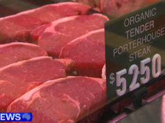 Os criadores de gado australianos sofreram um golpe quando a China impôs um limite às importações de carne bovina Os criadores de gado australianos sofreram um golpe quando a China impôs um limite às importações de carne bovina