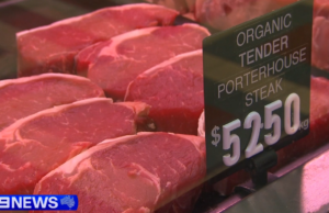 Os criadores de gado australianos sofreram um golpe quando a China impôs um limite às importações de carne bovina Os criadores de gado australianos sofreram um golpe quando a China impôs um limite às importações de carne bovina