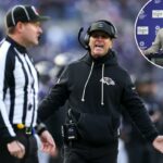 John Harbaugh discute com um árbitro.