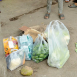 Os impactos na saúde devido aos plásticos em todo o mundo podem duplicar até 2040: estudo da Lancet