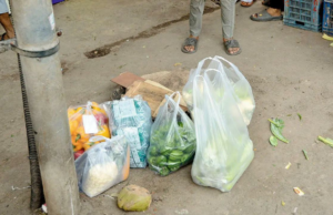 Os impactos na saúde devido aos plásticos em todo o mundo podem duplicar até 2040: estudo da Lancet Os impactos na saúde devido aos plásticos em todo o mundo podem duplicar até 2040: estudo da Lancet