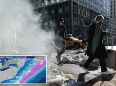 Os nova-iorquinos se preparam para um frio perigoso que parece -10 graus, risco de congelamento em apenas 15 minutos Os nova-iorquinos se preparam para um frio perigoso que parece -10 graus, risco de congelamento em apenas 15 minutos