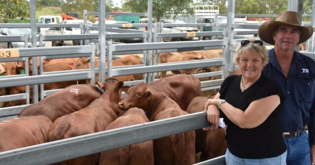 Os preços do reabastecimento de um ano sobem às estrelas enquanto a febre da grama avança para o sul
