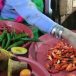 Os preços dos pimentões e dos ovos de galinha voltam a subir, confira a lista completa de outras commodities