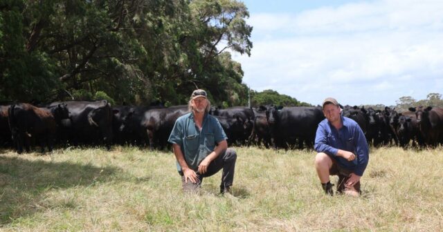 Os primeiros contratempos ajudaram a determinar uma nova direção para os produtores do Grande Sul
