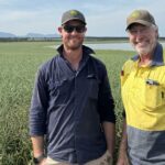 Os produtores de WA sobem ao microfone para discutir o planejamento do nitrogênio no novo podcast