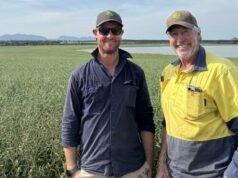 Os produtores de WA sobem ao microfone para discutir o planejamento do nitrogênio no novo podcast Os produtores de WA sobem ao microfone para discutir o planejamento do nitrogênio no novo podcast