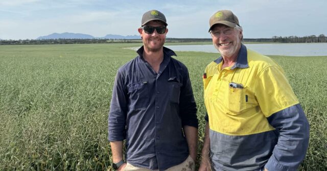 Os produtores de WA sobem ao microfone para discutir o planejamento do nitrogênio no novo podcast
