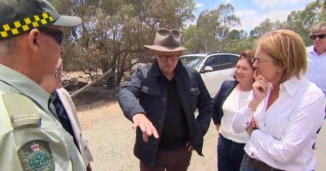 Anthony Albanese visitou uma área atingida por incêndios florestais em Victoria.