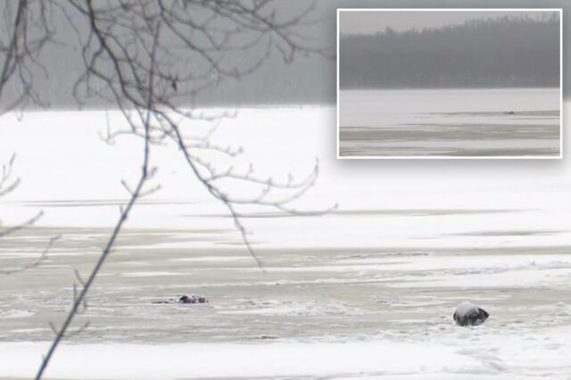 Pai heróico 'morreu salvando seu filho', de 6 anos, quando Duas pessoas morreram e duas foram hospitalizadas depois que um snowmobile caiu no gelo em um lago no norte do estado de Nova York.
