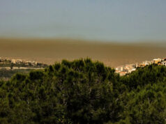 Pesquisador descobre razão alarmante que contribui para o aumento das taxas de câncer: ‘Não há mais tabu’ Yahoo news home