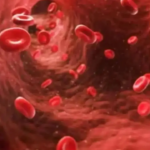 Pesquisadores australianos desenvolvem terapia direcionada para câncer raro no sangue