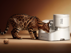 Petkit acaba de anunciar três novos dispositivos inteligentes para seus animais de estimação Petkit acaba de anunciar três novos dispositivos inteligentes para seus animais de estimação