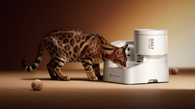 Petkit acaba de anunciar três novos dispositivos inteligentes para seus animais de estimação
