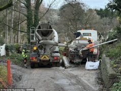 Polícia armada ataca a ‘rua mais bonita’ da Grã-Bretanha em Cotswolds após relatos de ‘tiro’ contra construtores que trabalham em uma reforma de ‘pesadelo’ Um caminhão de cimento bloqueando a estrada durante a construção em Awkward Hill em Bibury no ano passado