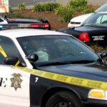 Polícia de Richmond defende uso de arma de choque em cachorro durante prisão por dirigir alcoolizado