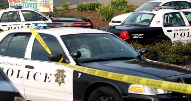 Polícia de Richmond defende uso de arma de choque em cachorro durante prisão por dirigir alcoolizado

