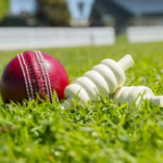 Policiais armados com rifles patrulharão o 5º teste de críquete Ashes em Sydney