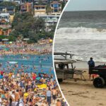 Praias devem reabrir a tempo para fim de semana prolongado após ataques de tubarão