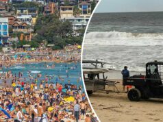 Praias devem reabrir a tempo para fim de semana prolongado após ataques de tubarão Praias devem reabrir a tempo para fim de semana prolongado após ataques de tubarão